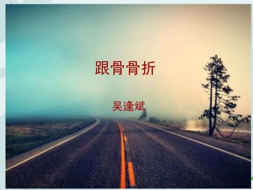 跟骨骨折ppt课件.ppt