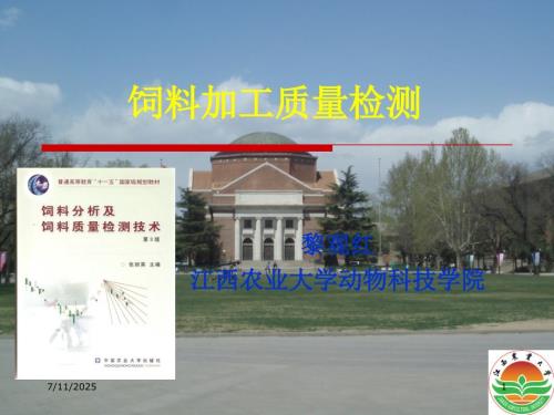 饲料加工质量检测PPT课件.ppt
