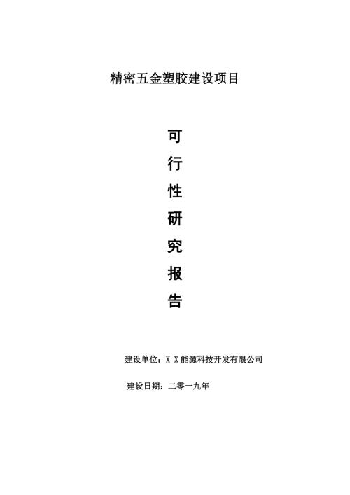 精密五金塑胶项目可行性研究报告申请可修改.doc