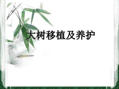 绿化工培训大树移植及养护.ppt
