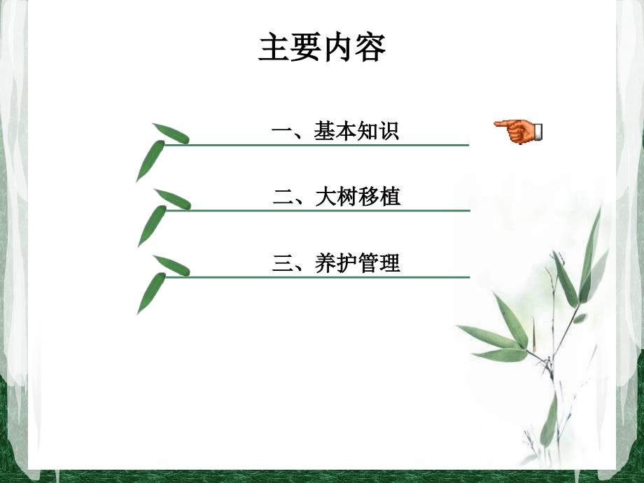绿化工培训大树移植及养护.ppt_第2页