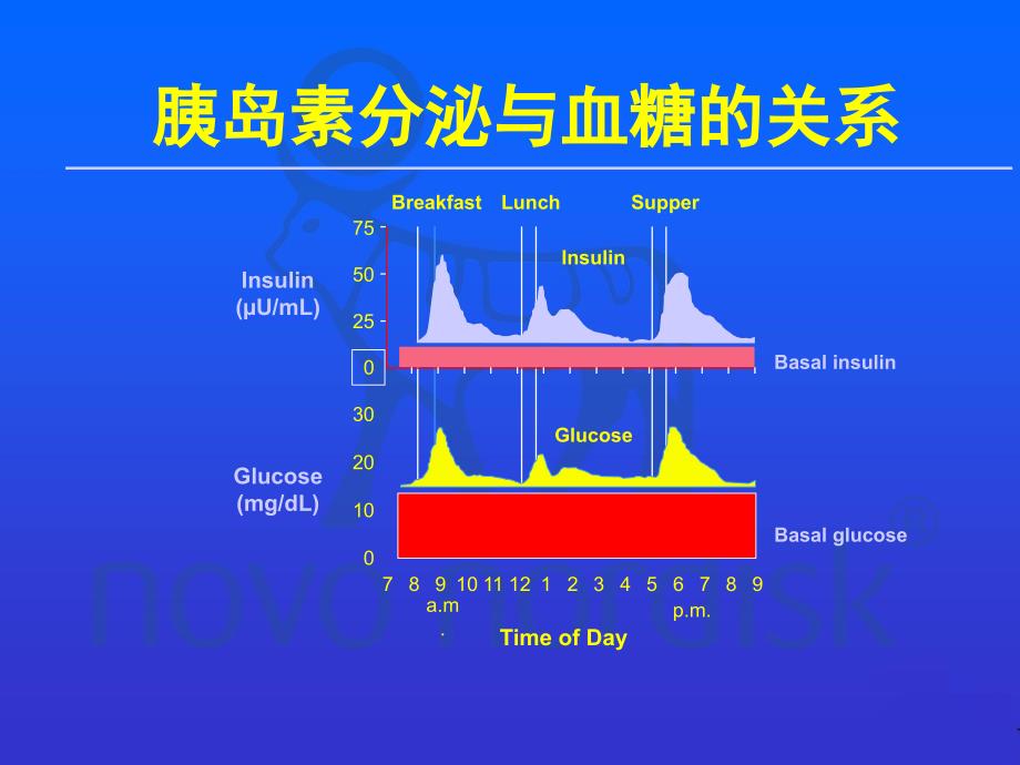 糖尿病的胰岛素治疗补充与替代.ppt_第2页
