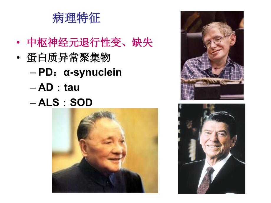 神经退行性疾病PPT课件.ppt_第3页