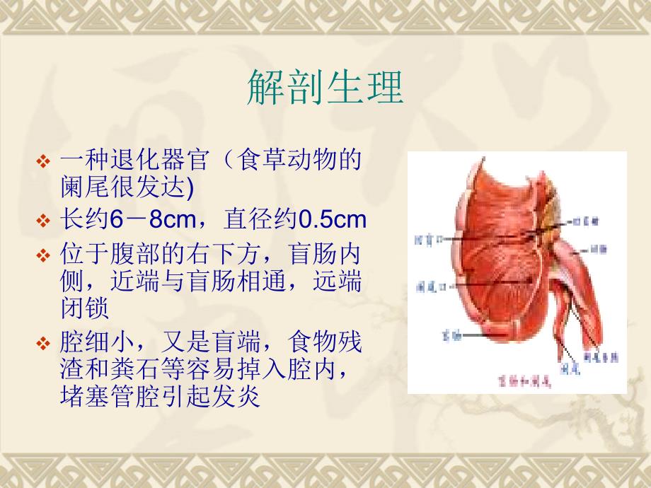 阑尾炎病人护理.ppt_第3页