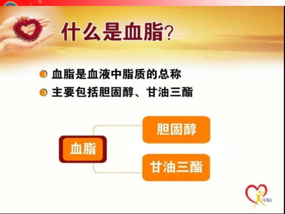 降脂药阿托伐他汀讲座.ppt_第3页