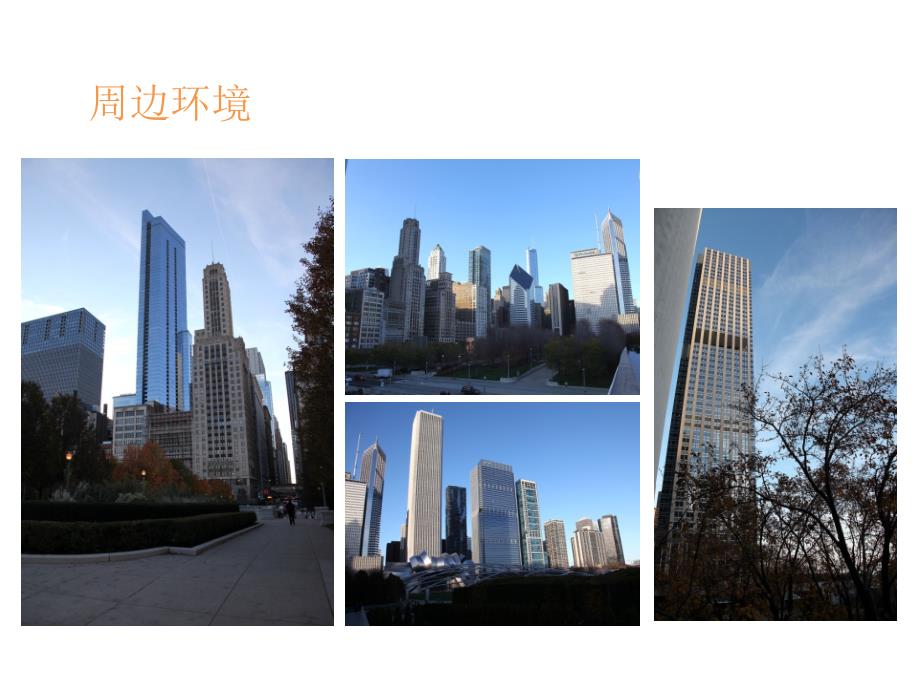 芝加哥千禧公园景观分析课件.ppt_第2页