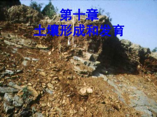 第10章土壤形成和发育.ppt