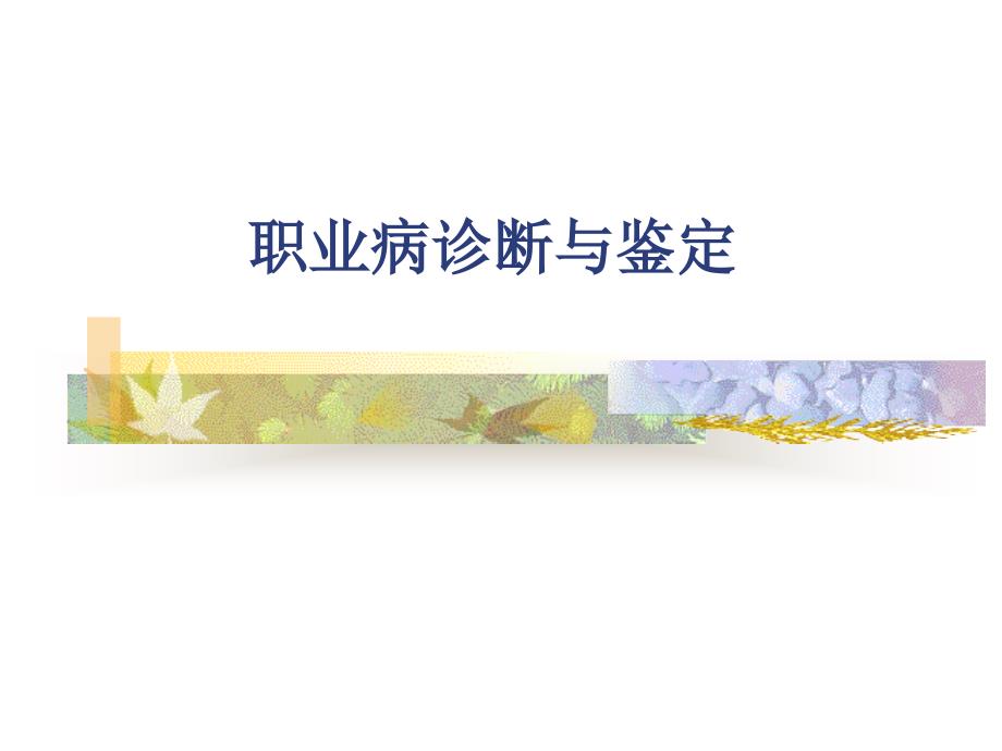 职业病诊断鉴定.ppt_第1页