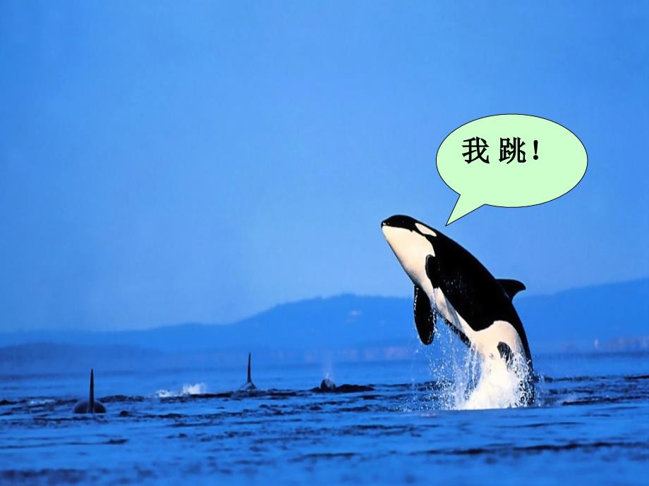 高中生物开学第一课.ppt_第3页