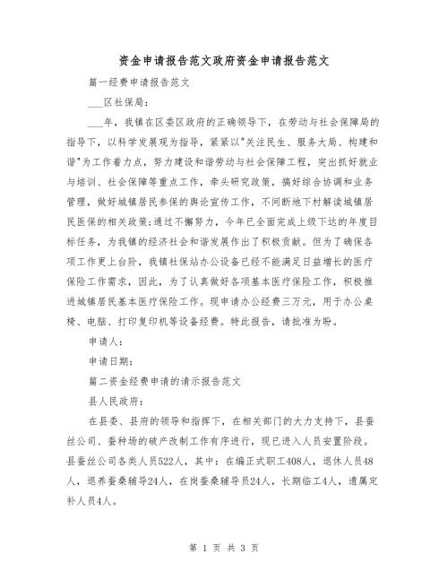 资金申请报告范文政府资金申请报告范文.doc