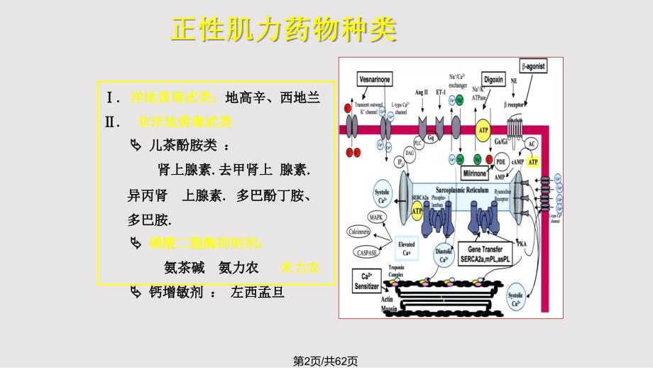 米力农ICU苏PPT课件.pptx_第2页