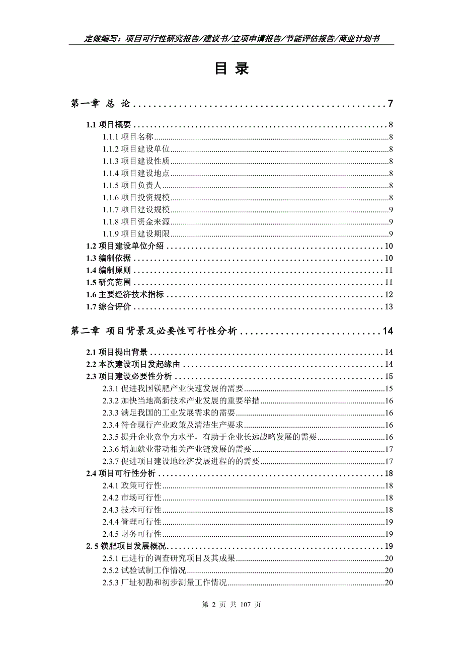 镁肥项目可行性研究报告写作范本.doc_第2页