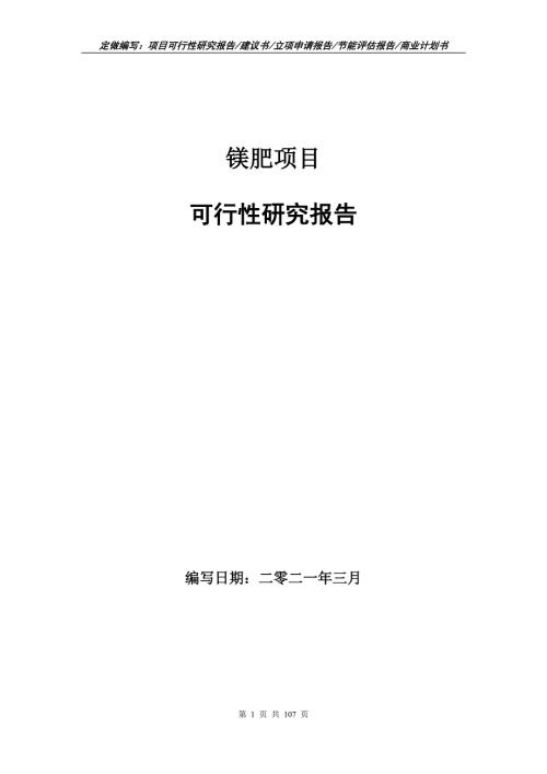镁肥项目可行性研究报告写作范本.doc
