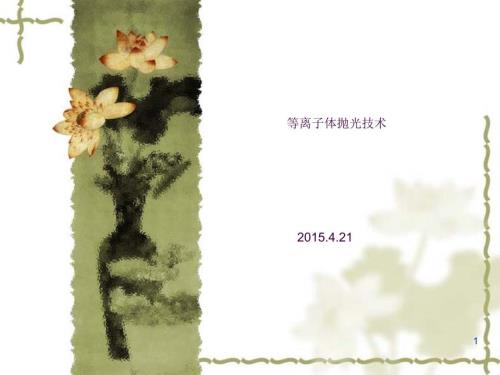 等离子体抛光PPT课件.ppt
