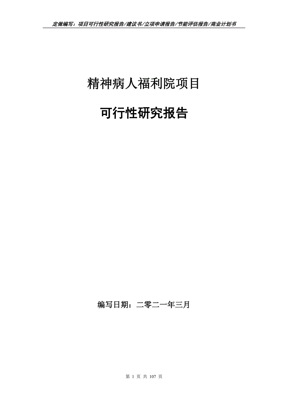 精神病人福利院项目可行性研究报告写作范本.doc_第1页
