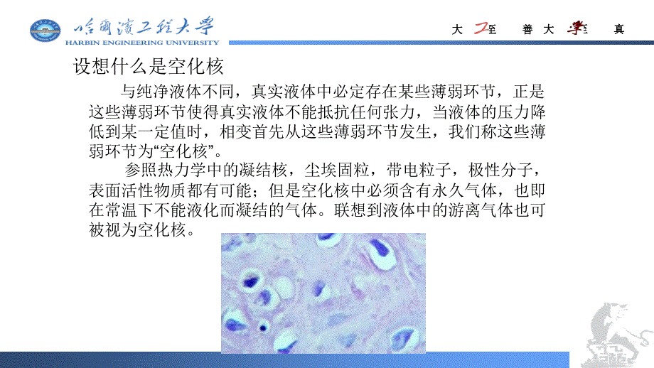 空化核ppt课件.pptx_第3页