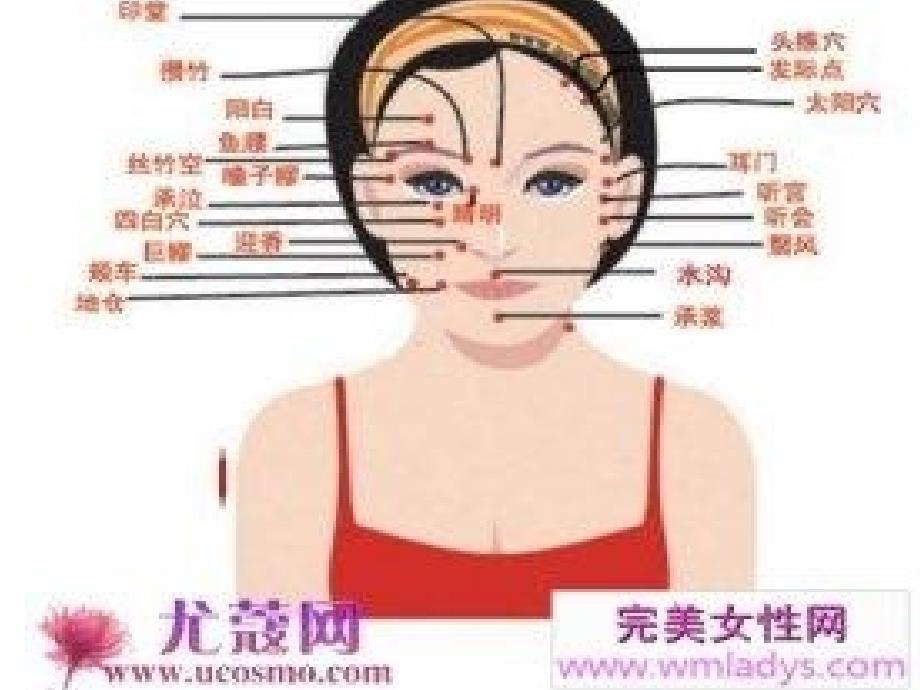 面部穴位PPT课件.ppt_第2页