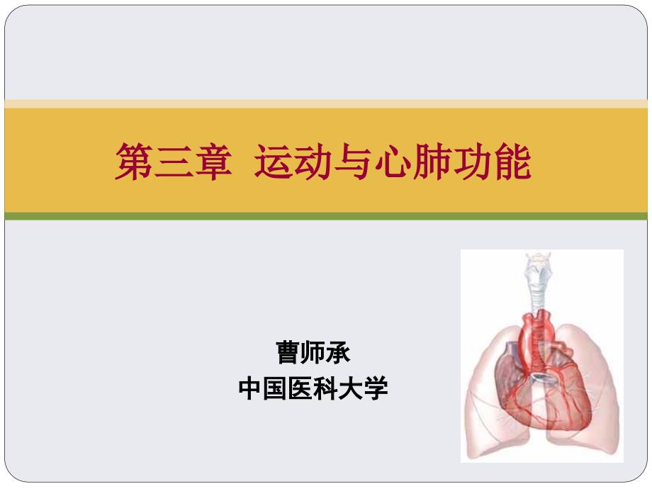 运动与心肺功能PPT课件.ppt_第2页