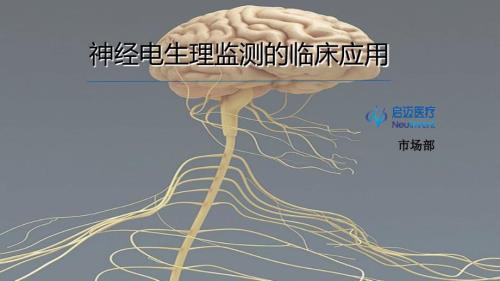 神经电生理监测的临床应用.ppt
