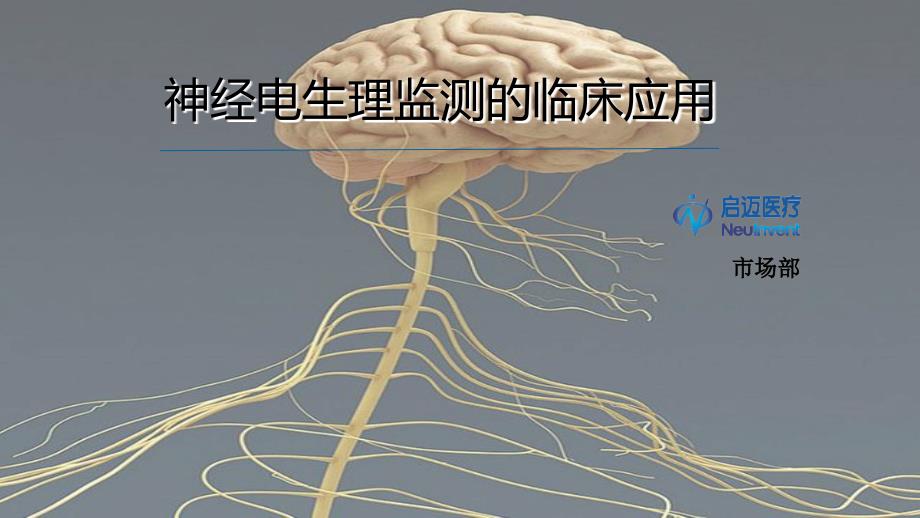 神经电生理监测的临床应用.ppt_第1页