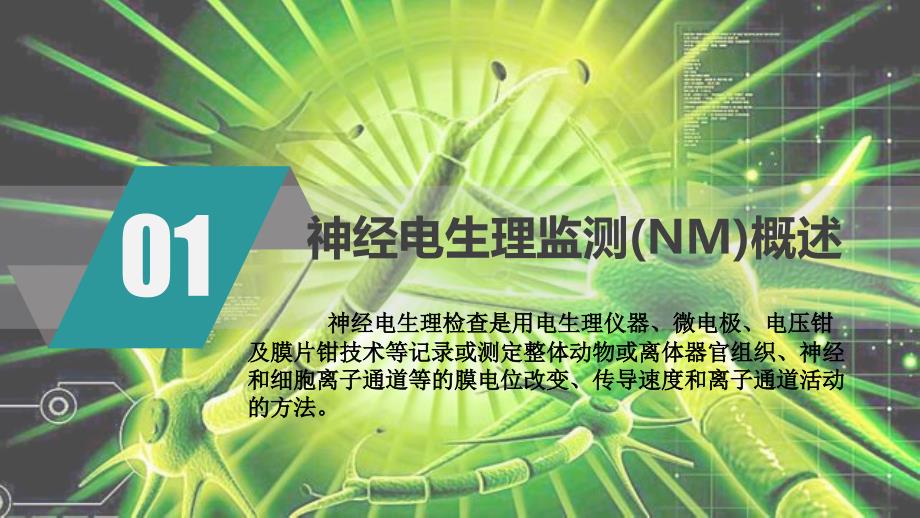 神经电生理监测的临床应用.ppt_第3页