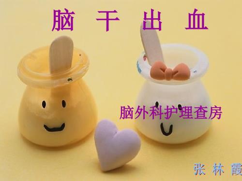 脑干出血病人护理PPT课件.ppt