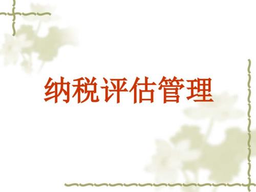 纳税评估管理.ppt