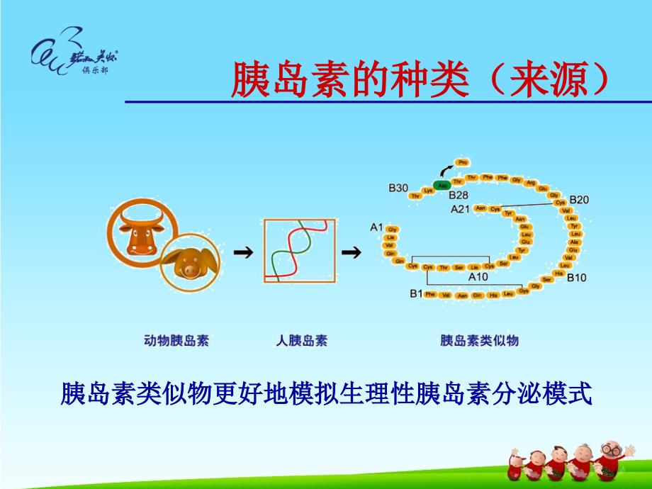 胰岛素的分类储存及使用方法.ppt_第3页