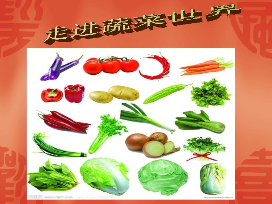 走进蔬菜世界PPT课件.ppt_第1页