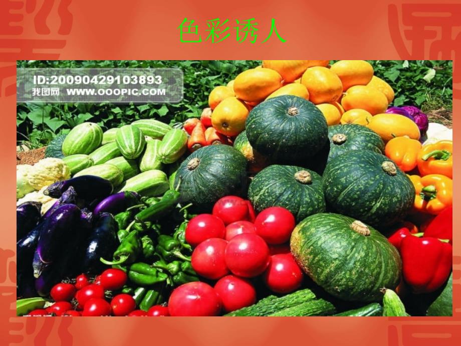 走进蔬菜世界PPT课件.ppt_第3页