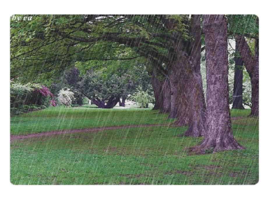 天的雨数字故事.ppt_第2页