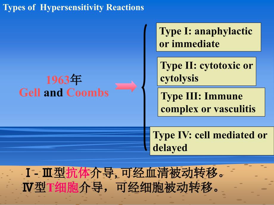 超敏反应培训.ppt_第3页
