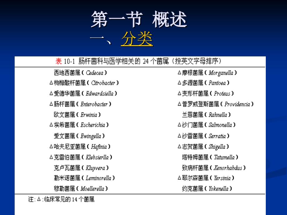 肠杆菌科细菌PPT课件.ppt_第2页