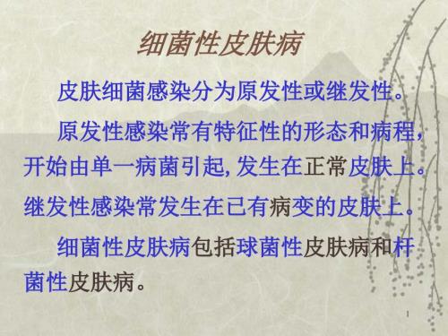 脓疱疮PPT课件.ppt