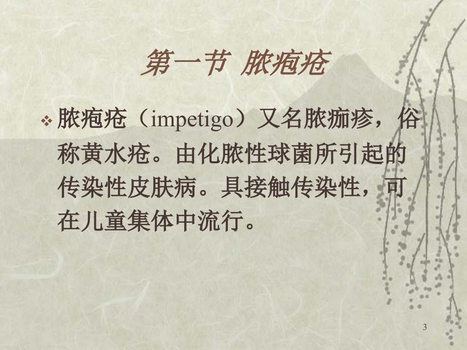 脓疱疮PPT课件.ppt_第3页