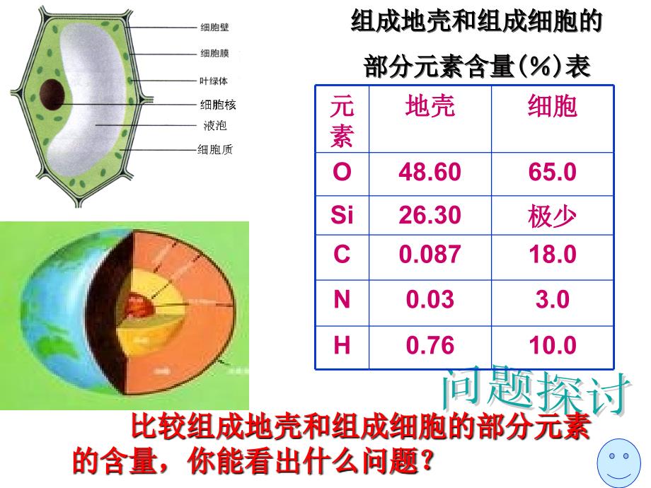 细胞的化学组成课件.ppt_第2页