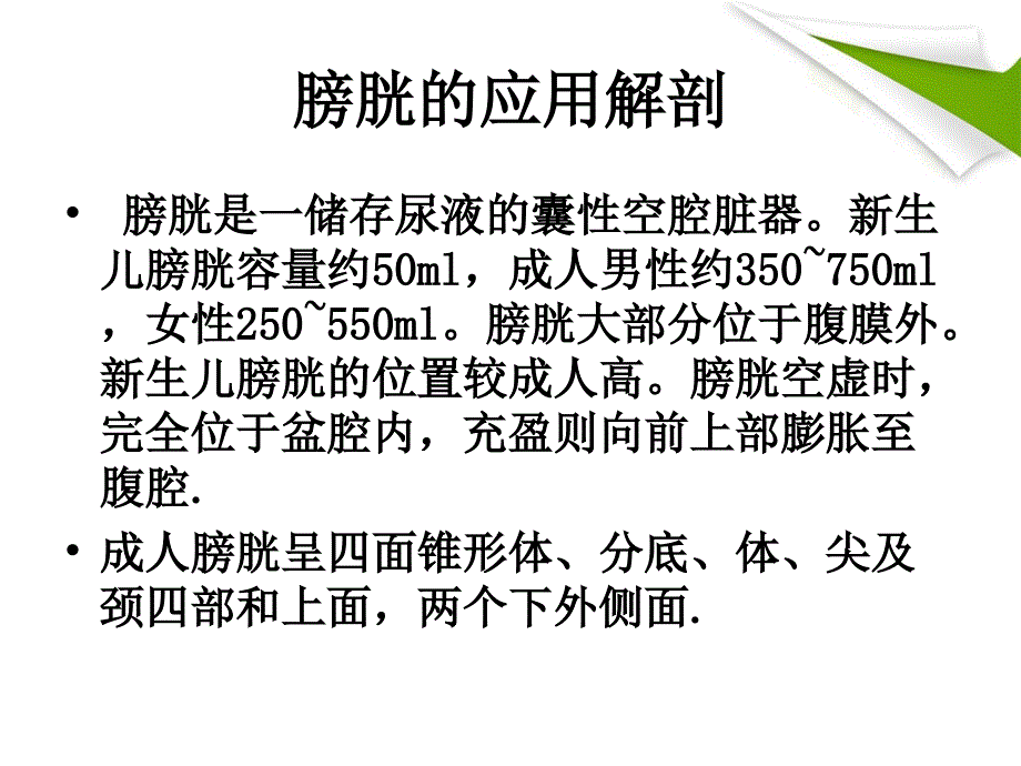 膀胱肿瘤的护理PPT课件.ppt_第2页
