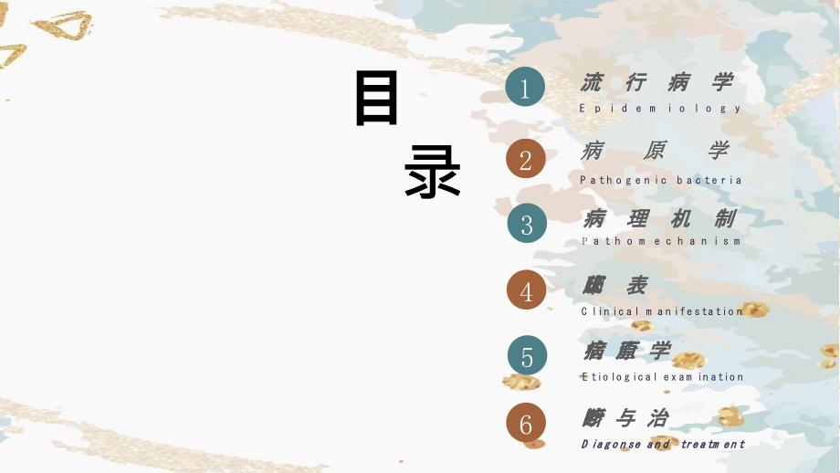 蠕形螨睑缘炎PPT课件.ppt_第3页