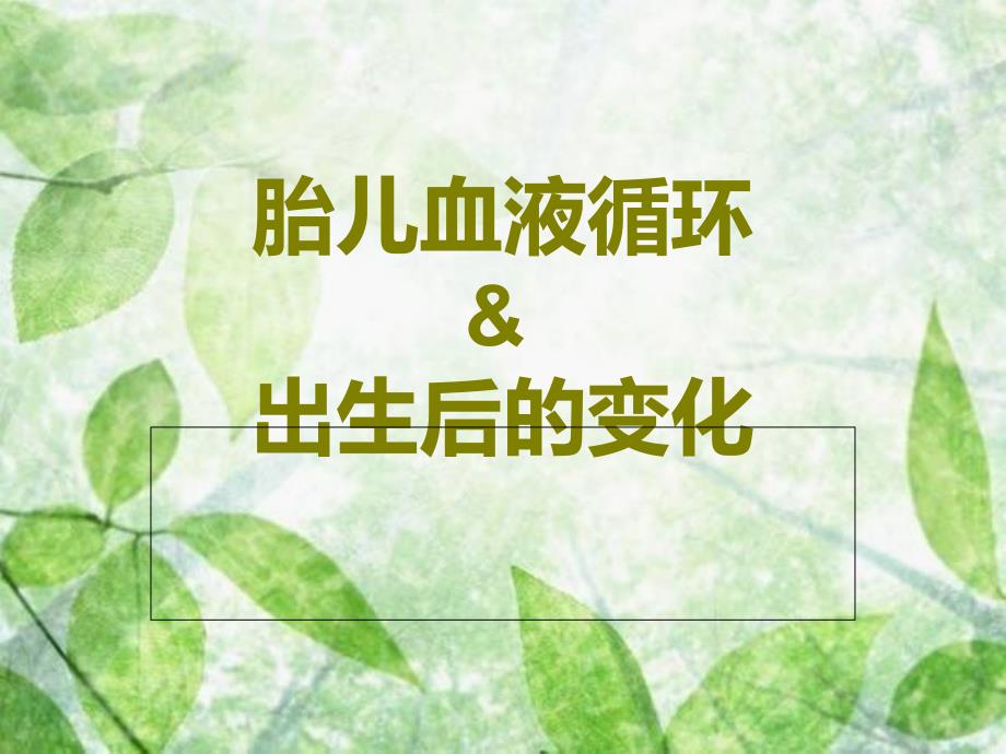 胎儿血液循环PPT课件.ppt_第1页