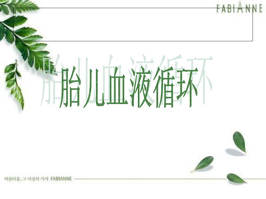 胎儿血液循环PPT课件.ppt_第2页