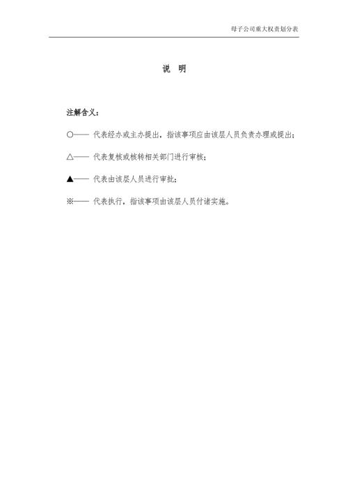 集团财务审计母子公司重大权责划分表.doc