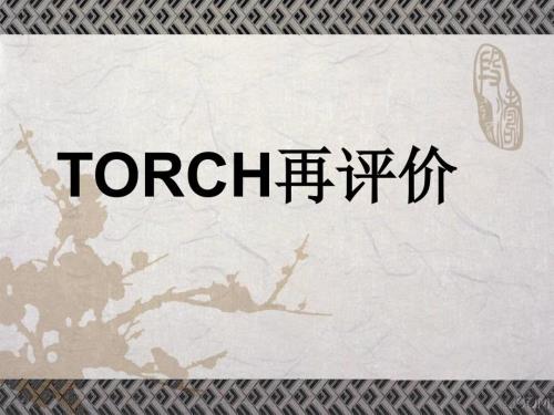 细菌性阴道病PPT课件.ppt