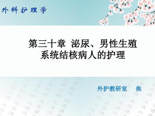 第30章泌尿男性生殖结核病人的护理.ppt
