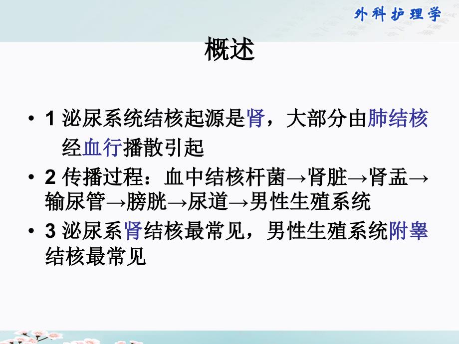 第30章泌尿男性生殖结核病人的护理.ppt_第2页