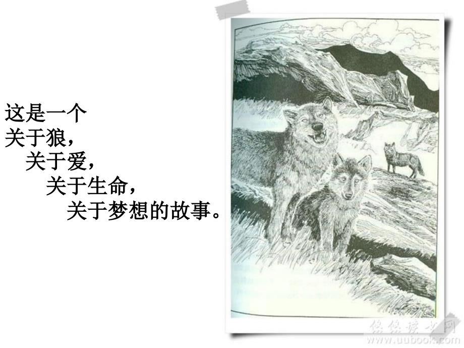 阅读狼王梦.ppt_第3页