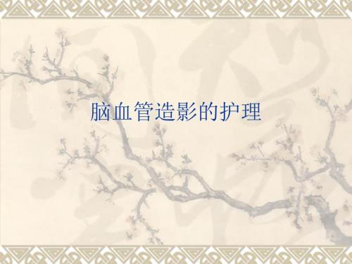 脑血管造影的护理PPT课件.ppt