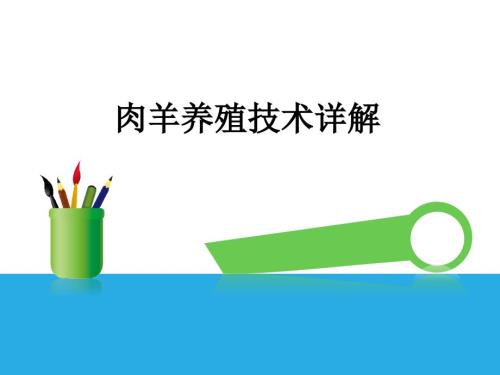 肉羊养殖技术详解课件.pptx