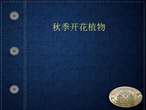 季开花植物PPT课件.ppt