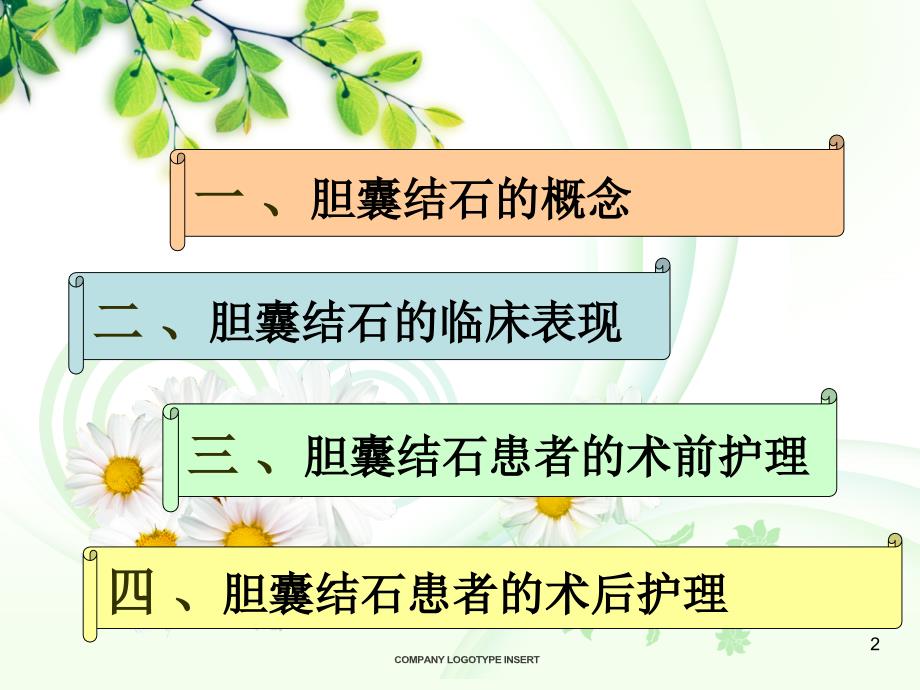 胆囊结石围手术期护理.ppt_第2页