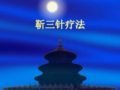 靳三针针灸教学.ppt
